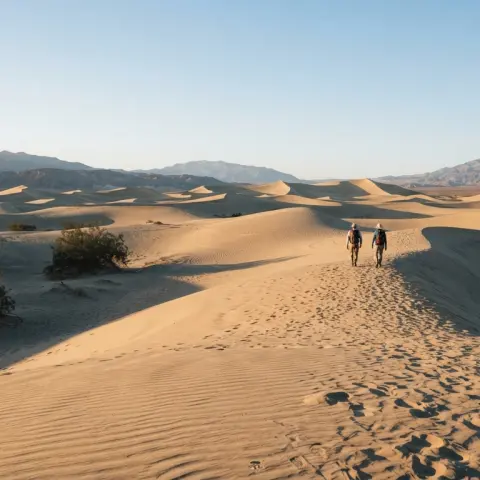 Mesquite Flat Sand Dunes