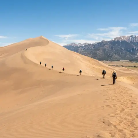 High Dune on First Ridge